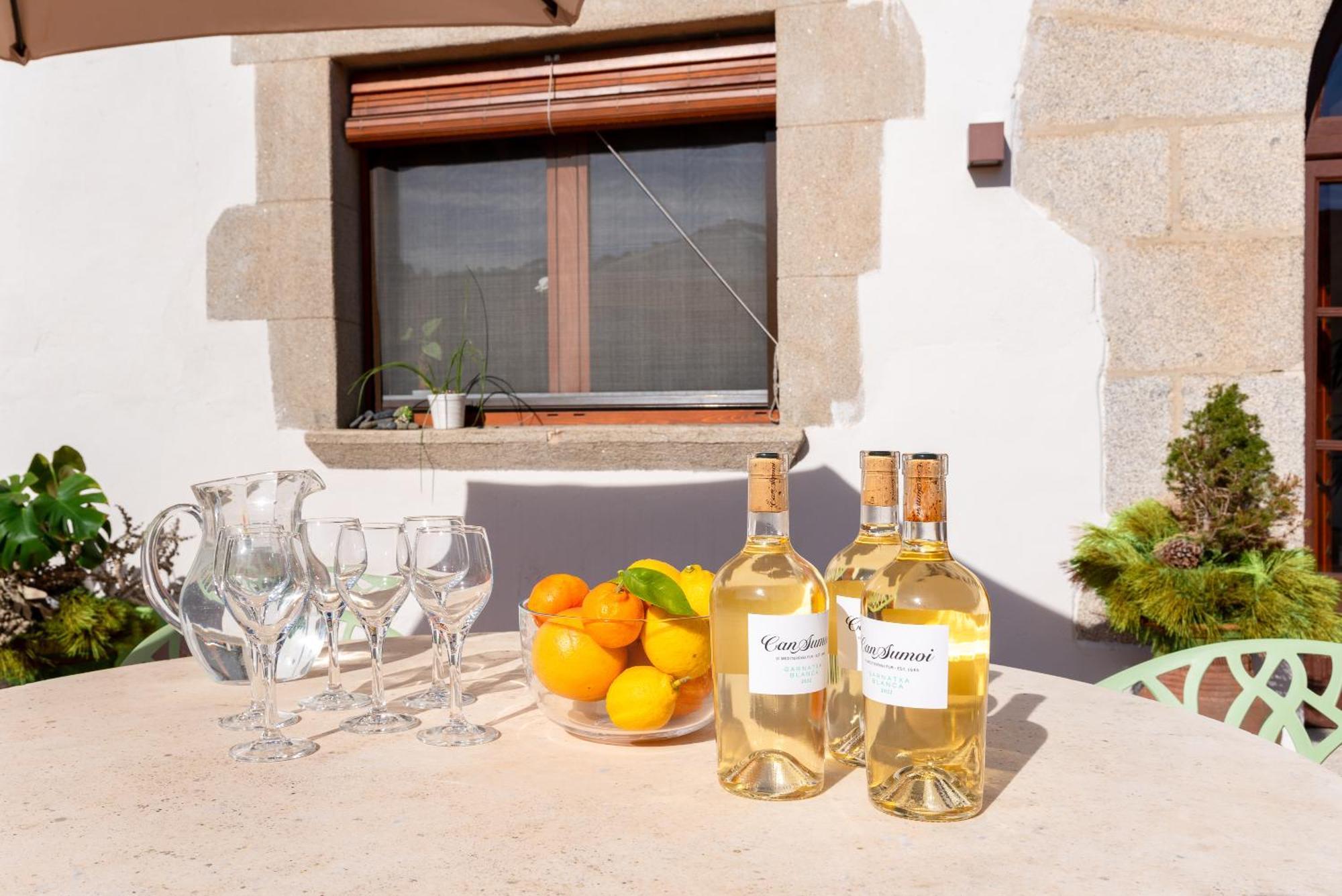 La Terraza - Grosszuegiges Appartment In Katalanischer Masia Sant Iscle De Vallalta المظهر الخارجي الصورة